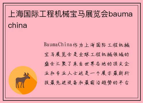 上海国际工程机械宝马展览会bauma china