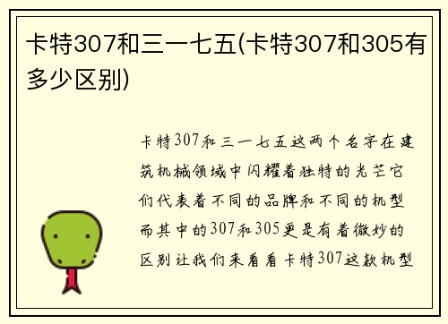 卡特307和三一七五(卡特307和305有多少区别)