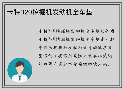 卡特320挖掘机发动机全车垫